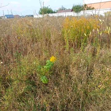 Харківська вулиця