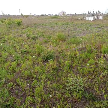 Магістральна вул.