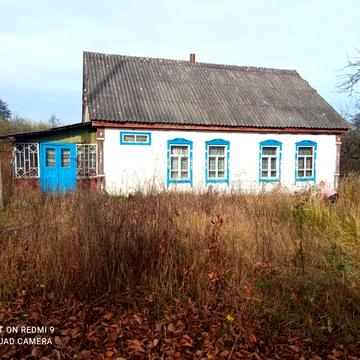 Продам будинок в Ємільчинському районі