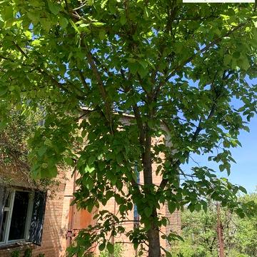 Продам дачу в СТ Ятрань