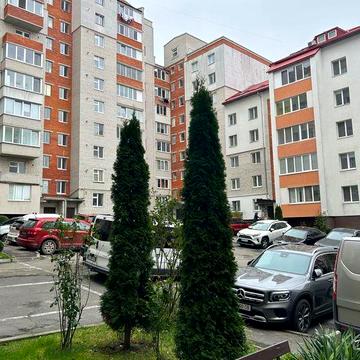 Оренда 2-х.кім Вербицького68м7/10ц і/о.є/р.меблі.техніка-400дол