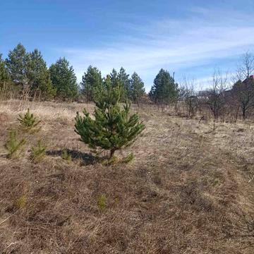 Музичі, Бучанський, Київська область 5500.0 USD