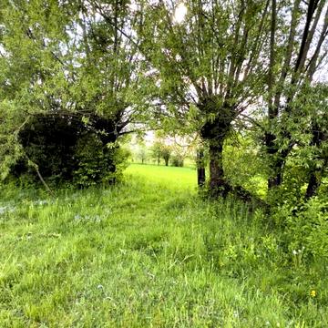 Березівка, Івано-Франківський, Івано-Франківська область 17500.0 USD