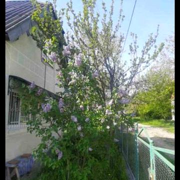 Продаж дачі Сілець