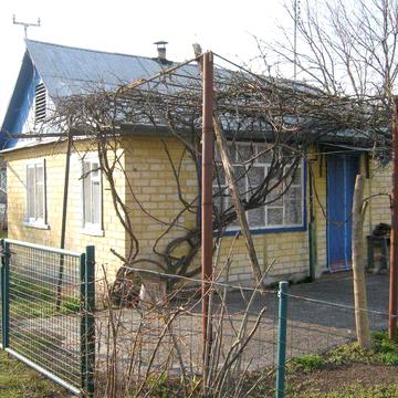 Сдается в аренду дача. Остановка «Павильон»