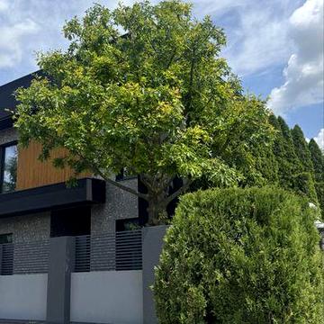 Будинок на Дослідній станції