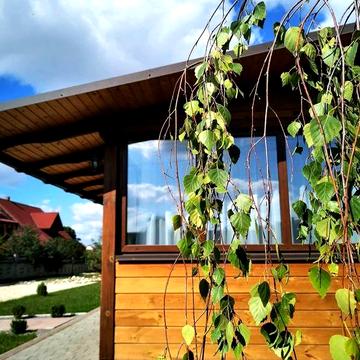 Оренда дерев’яного будинку | до 50 м² | Тиха вулиця, своя територія