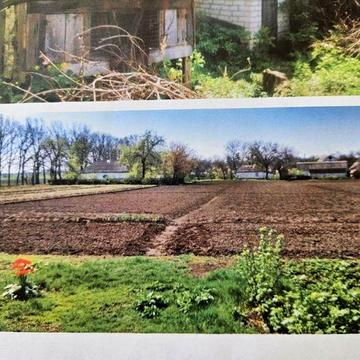 Дом. Участок. Веремеевка. Черкасская область. Є відео будинку