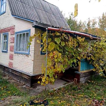 Дача в кооперативі "Світанок"