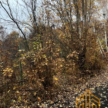 Сахнівська