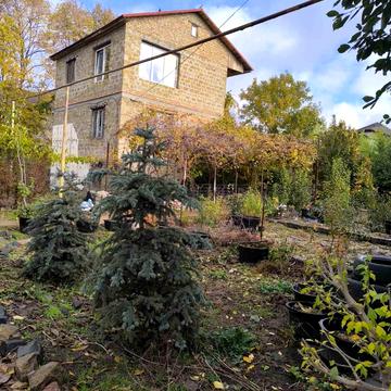 Абрикосова вул.