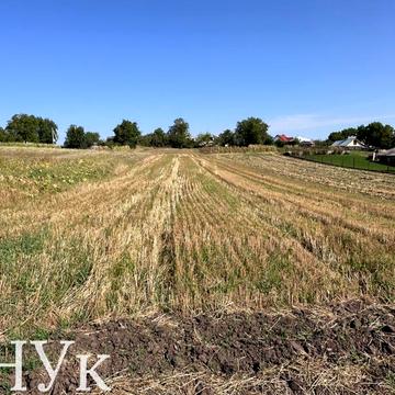 Зелена вул.