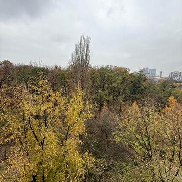 Академіка Глушкова просп., 59