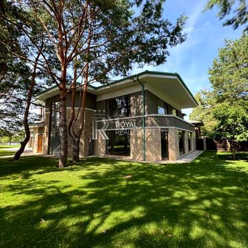 зоряний пров