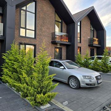 Танхаус у скандинавському стилі з ремонтом поруч з лісом р-н Запорізьк