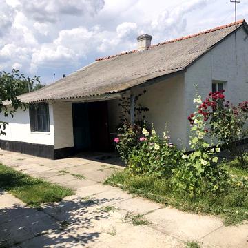 Грушевського