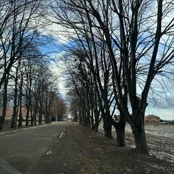 Джерельний пров.