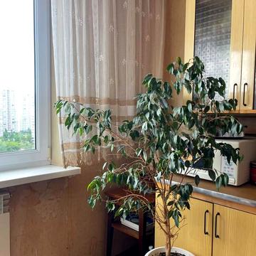 Лісківська вул., 7-А