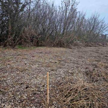 Мирна вул., 25