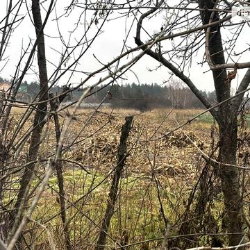 Продаж 1к Дім Миру вулиця