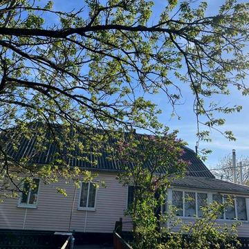 Житомирська обл Брусилівський р-н. Нові Озеряни