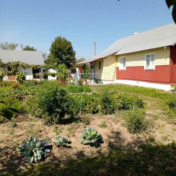 Продається будинок  в центрі  с. Летня