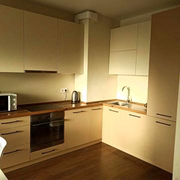 Здається Двокімнатна в центрі