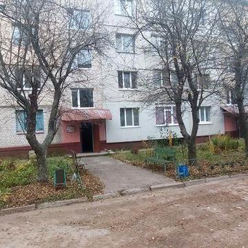 Продам большую 1к.кв в Солоницевке