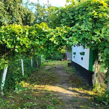 Продається будинок в с.Сенкевичівка
