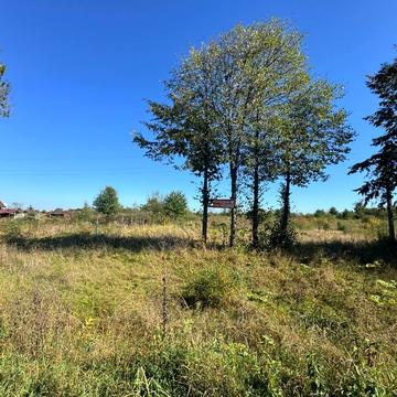 Цуцилів, Надвірнянський, Івано-Франківська область 2800.0 USD