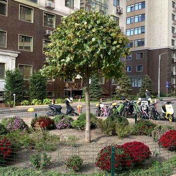 Продам 1 комн.кв. в ЖК Кадор на ул. Сахарова. Вид на Море! ЖК Кадорр