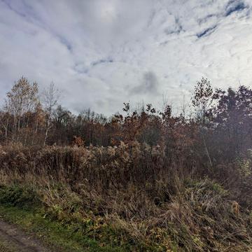 Микитинці, Івано-Франківський, Івано-Франківська область 11500.0 USD