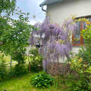 Продаж 2-поверхового 3-х кімн. будинку с. Куровичі