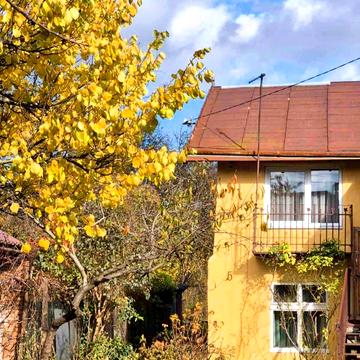 Спокійна вул.