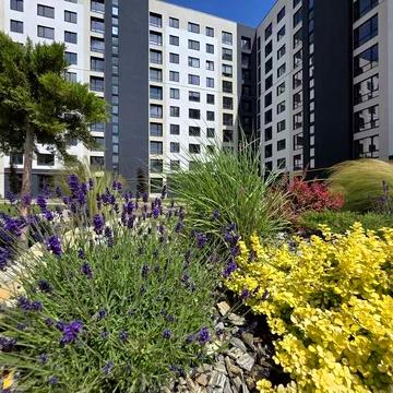 Продаєтья 1 кімнатна квартира в Бучі ЖК Континент Рей