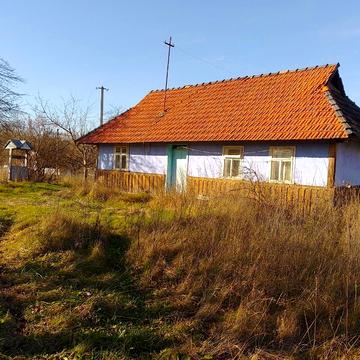 Шургалюка, 44