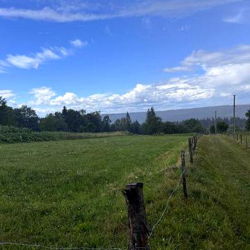 Довгострокова оренда будинку і зем. ділянка 1 Га с/г призн.