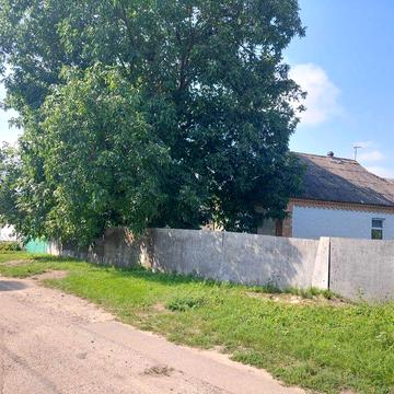 Продається буд.107 м кв., с Кулибаба, 7 км до м. Васильків.