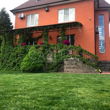 Археологічна вул.