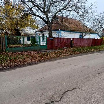 Продам два окремих будинки.