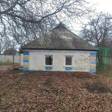 Сдам в оренду будинок