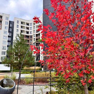 Ірпінь, Сінергія Сіті 1к квартира, Єоселя 2% податки, без комісії! ЖК Сінергія Сіті