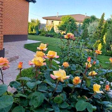 Откройте дверь — и почувствуйте, как жизнь наполняется светом.