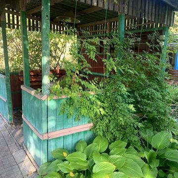 Продажа дачного участка