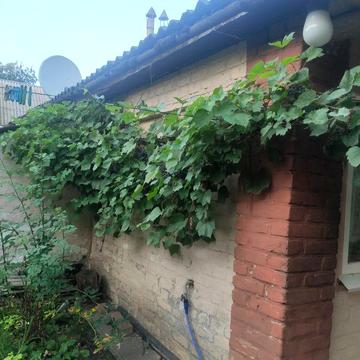 Терміново продам будинок в Заводському, Миргородського р-ну.