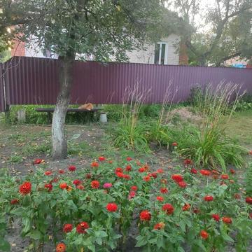 Терміново продам будинок в Заводському, Миргородського р-ну.