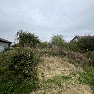 Грушевського