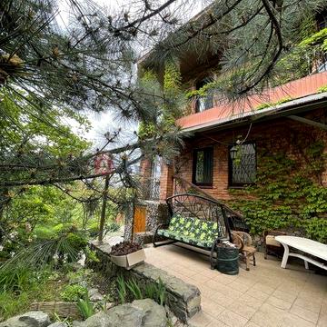 Оренда будинку з хвойним лісом в селі Волоське.