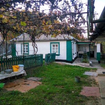 Продаж будинку з ділянкою 50 соток с. Балико-Щучинка