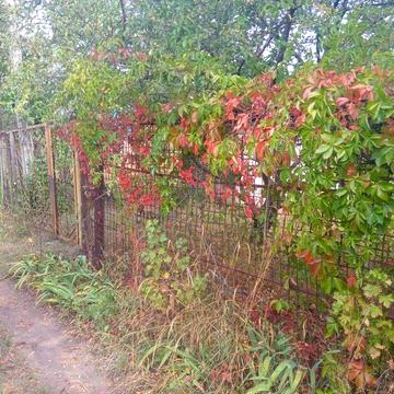 Продам дачу, общество Рассвет, пос. 40 лет, ул. Строительная